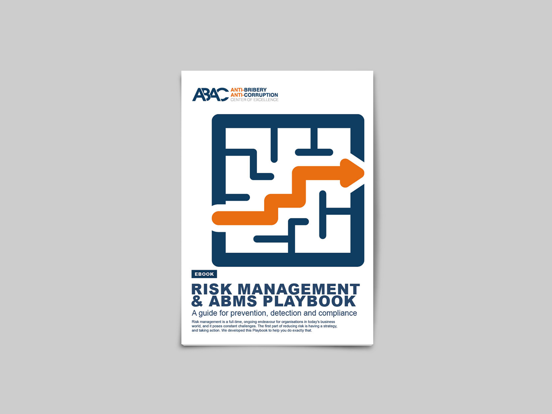 Risk Management & ABMS Playbook