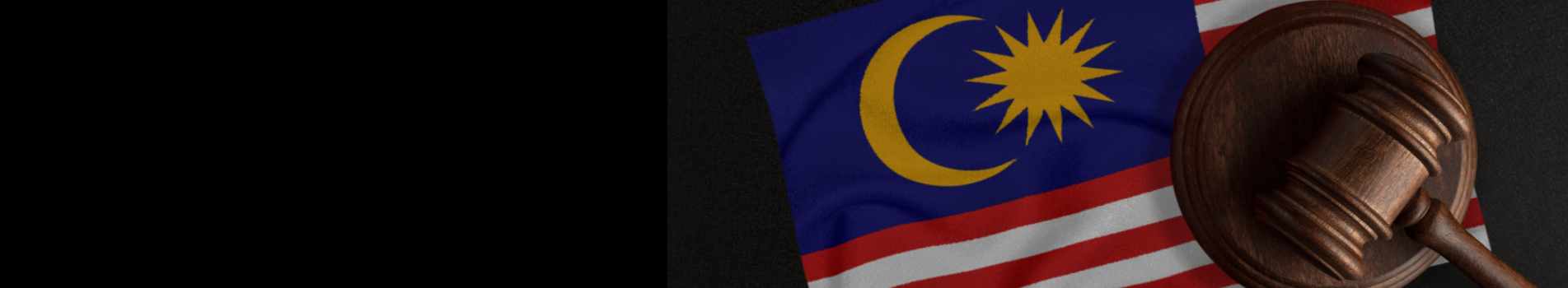Impact of MACC Act Section 17A on Organisations